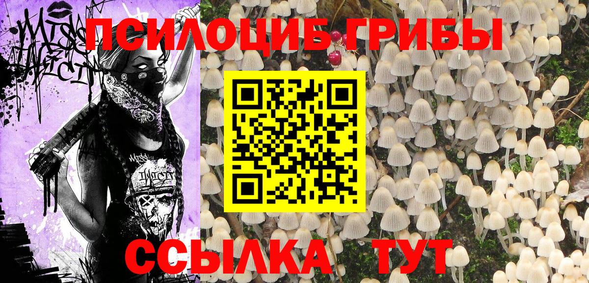 Псилоцибиновые грибы GOLDEN TEACHER Электросталь