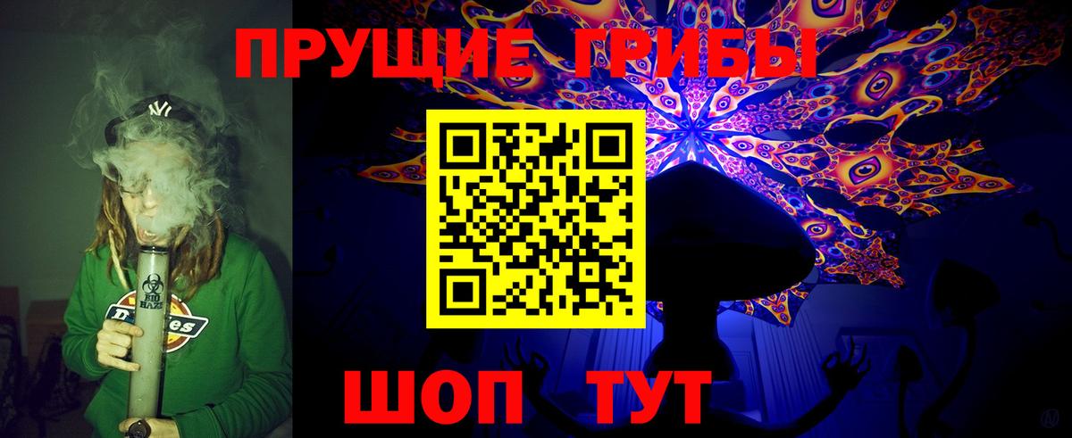 Галлюциногенные грибы прущие грибы  Галлюциногенные грибы прущие грибы  Вход с VPN  Электросталь 